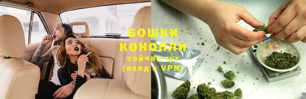 a pvp Белокуриха