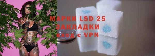 a pvp Белокуриха