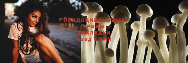 PSILOCYBIN Белоозёрский