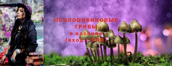 PSILOCYBIN Белоозёрский