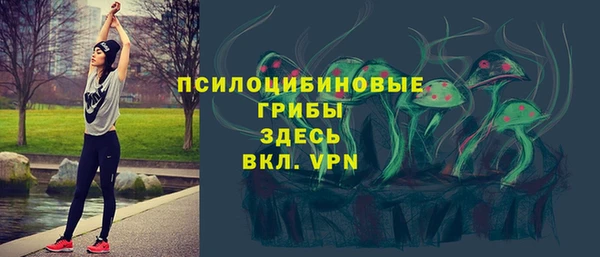 PSILOCYBIN Белоозёрский