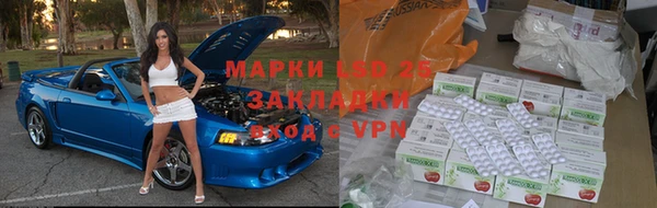 a pvp Белокуриха